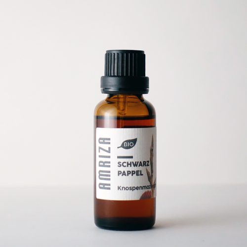 Schwarzpappel